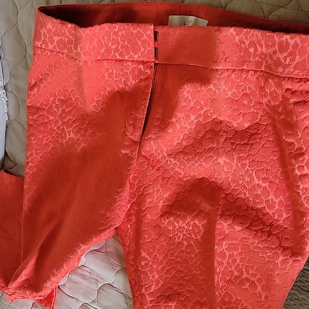 Loft pants - Picture 3 of 3